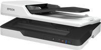 Epson DS-1630 Gray Scanner