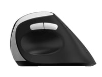 RAPOO EV250 - Ergo wireless optical mouse