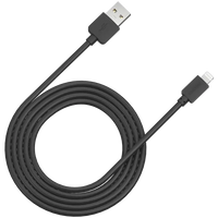 CANYON cable CFI-1 8-pin 5W 1m Black