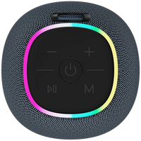 CANYON speaker BSP-8 10W Gray - Image 3