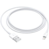 Apple Out of Box Lightning to USB Cable (1m)