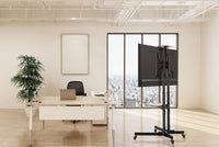 Equip Brack, Economy TV Cart