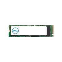 Dell 480GB M.2 6Gbps SATA Server SSD