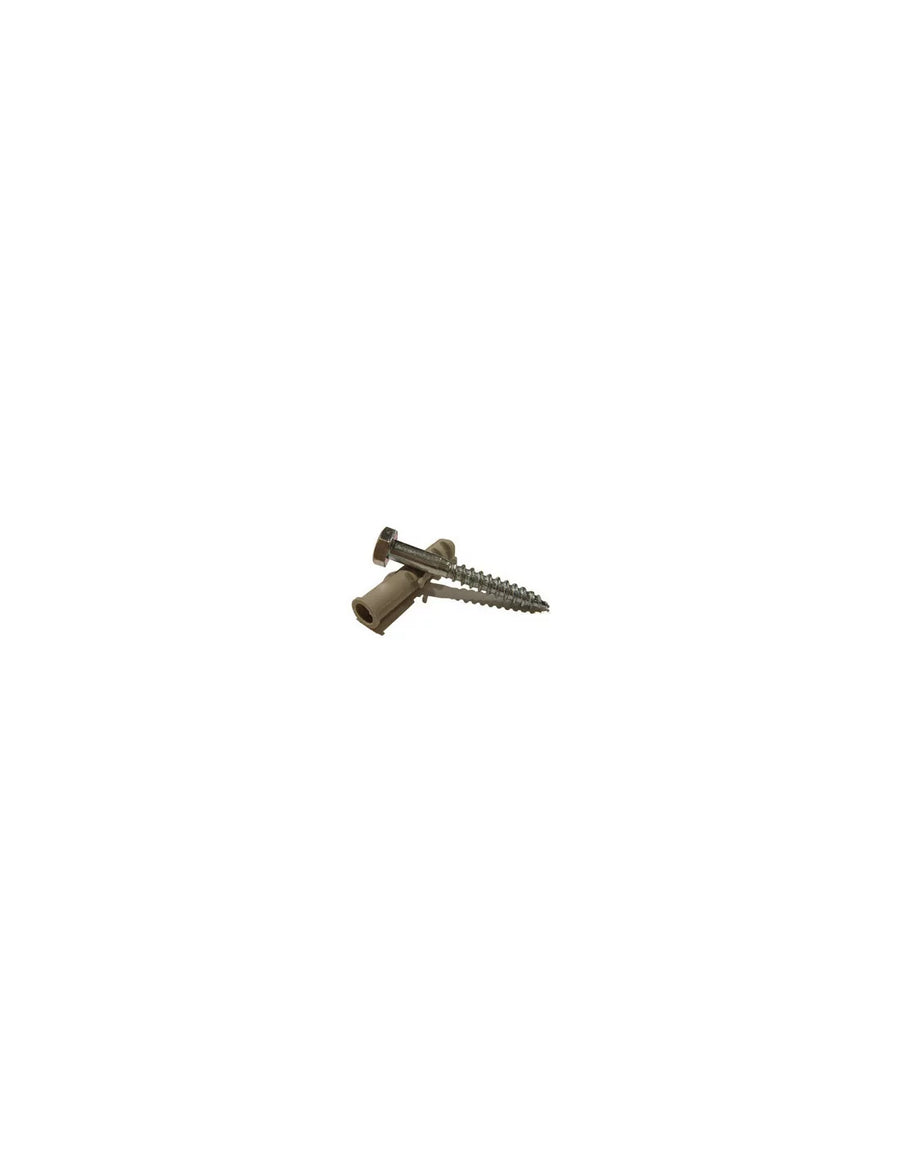 Coach Screw with Wall Plug
