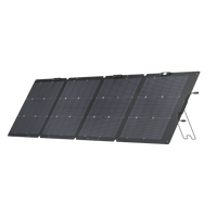 ECOFLOW SOLAR LW 220W - Image 2