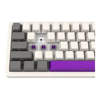LORGAR KBP70MW, Wireless 65% Mechanical Gaming Keyboard Pro, Beige, EN layout - Image 2