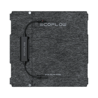 Ecoflow Solar 60W - Image 2