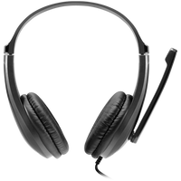 CANYON PC headset CHSU-1 PC Mic USB 2m Black - Image 2