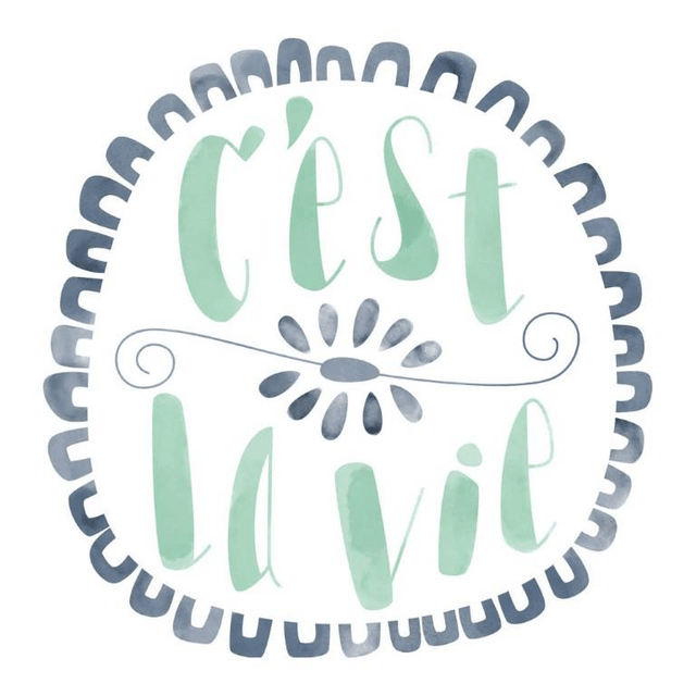 2004946 - Cricut Iron On Designs Cest Le Vie 21.5x30cm