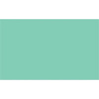 2005219 - Cricut Premium Vinyl Permanent 30x120cm (Pastel Green)