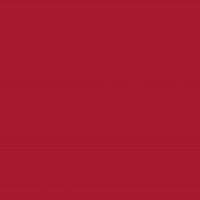2008661 - Cricut Smart Vinyl Permanent 33x366Cm 1 Sheet (Red)