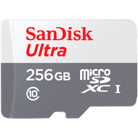 SanDisk Ultra 256GB Class 10 MicroSDHC Card