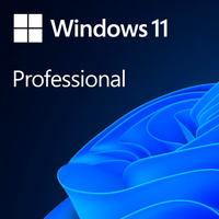 Microsoft Windows11 Pro ESD