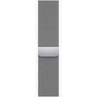 41mm Silver Milanese Loop