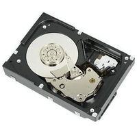Dell 2TB 7.2K RPM 3.5" SATA 6Gbps Cabled HDD