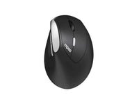 RAPOO EV250 - Ergo wireless optical mouse