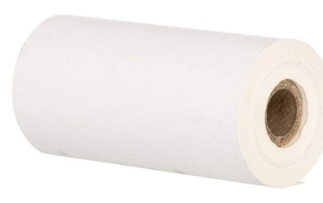 Zebra 3006419-T Receipt Paper 101.6mm x 31.7m Direct Thermal 8000D 10-Year (Single)