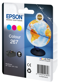 Epson Ink Cartridges Colour T2670 WF-100