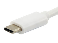 Equip Cable, USB Type C to VGA Female/US