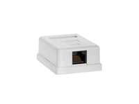 Acconet CAT6 Single RJ45 Wall Box