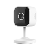 IPCAM-2900 Indoor Wi-Fi Camera - 2