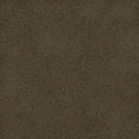 CC 2006782 - Image 2
