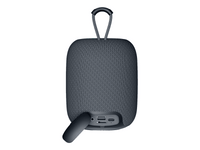 CANYON speaker BSP-8 10W Gray
