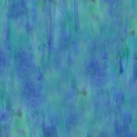 CC 2007524 - Image 3