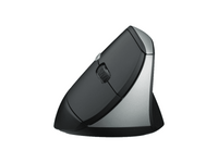 RAPOO EV250 - Ergo wireless optical mouse