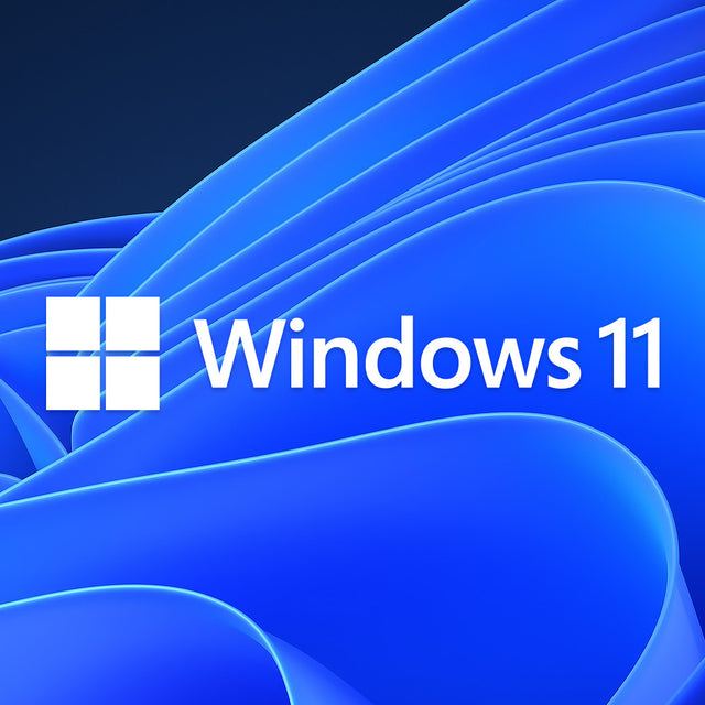 Pinnpos Windows 11 IOT Entry Enterprise 2024 LTSC One Key Per COA License