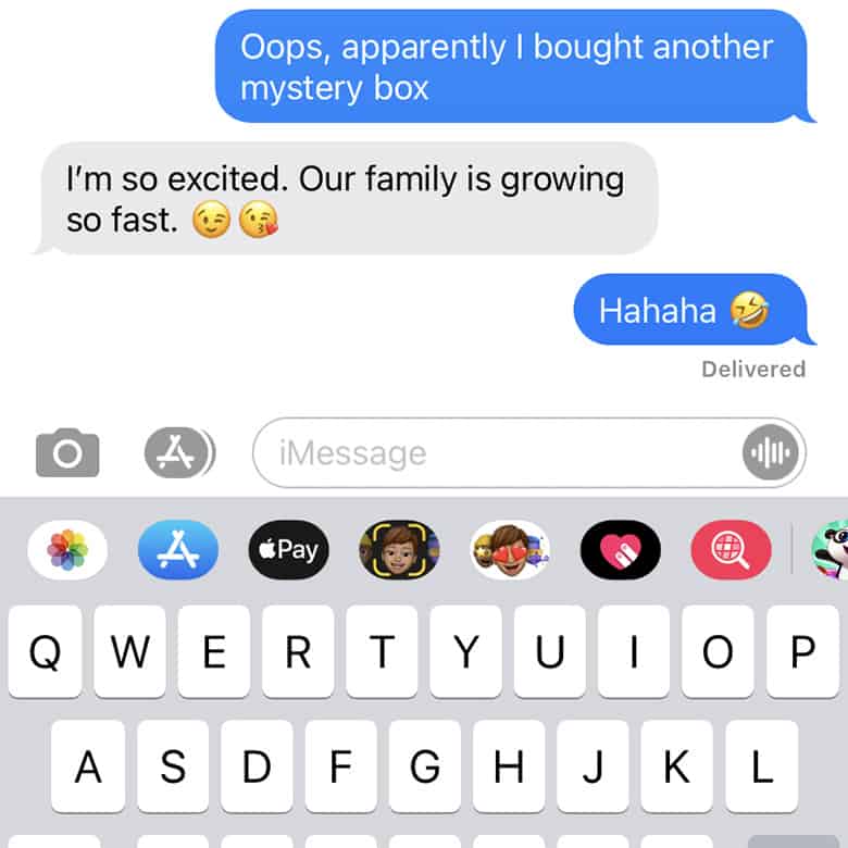 Cricut Mystery Box Maker