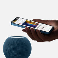 HomePod mini - Blue,Model A2374