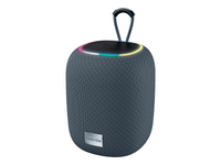CANYON speaker BSP-8 10W Gray