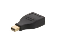 DP FEMALE TO MINI DP MALE ADAPTER