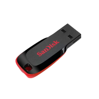 SanDisk Cruzer Blade 128GB USB-A Flash Drive