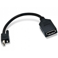 DP FEMALE TO MINI DP MALE CABLE