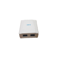 RCT- CAT6 WALLBOX DUAL PORT