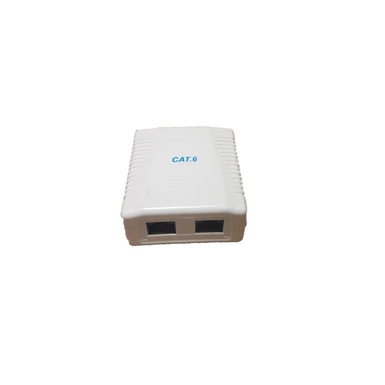 RCT- CAT6 WALLBOX DUAL PORT