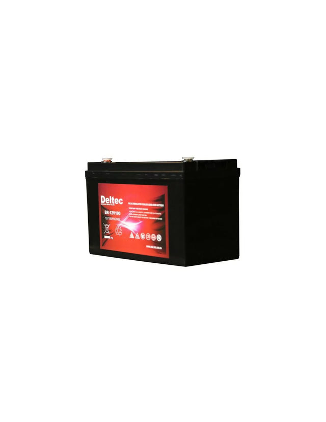 Deltec 12V 100Ah AGM Battery