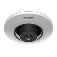 Hikvision 5MP Fixed Fish Eye Camera