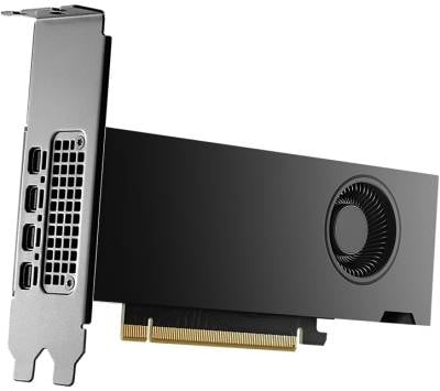 PNY NVIDIA RTX2000 ADA 16GB GDDR6 Low Profile
