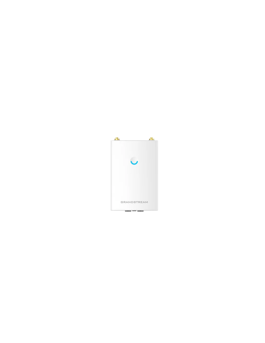 Grandstream Enterprise WiFi 5 Long Range Outdoor AP | GWN7605LR