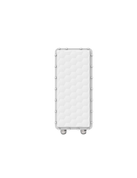 Ligowave PTMP RapidFire 600 Mbps Carrier base-station with N-connectors