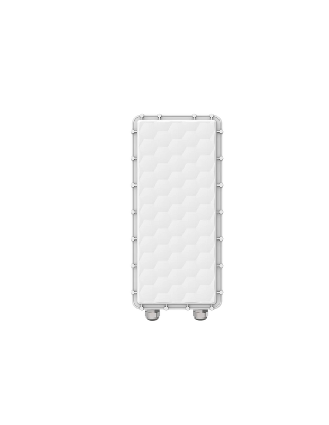 Ligowave PTMP RapidFire 600 Mbps Carrier base-station with N-connectors