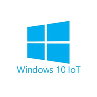 Microsoft Windows 10 IoT Enterprise 2021 Individual Key License - Image 4