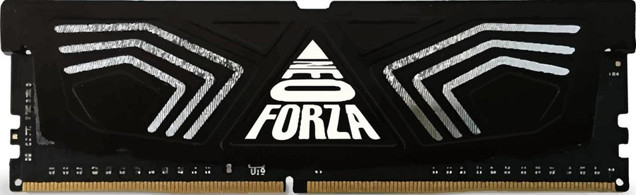 Neoforza 16GB 3000MHz with Heatsink