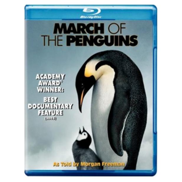 Micropoint March of the Penguins