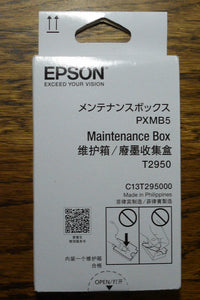 Epson Maintenance Box WF-100 Printer