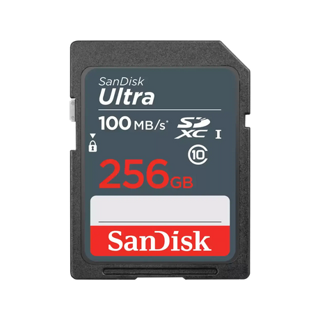 SanDisk SD CL10: 256GB