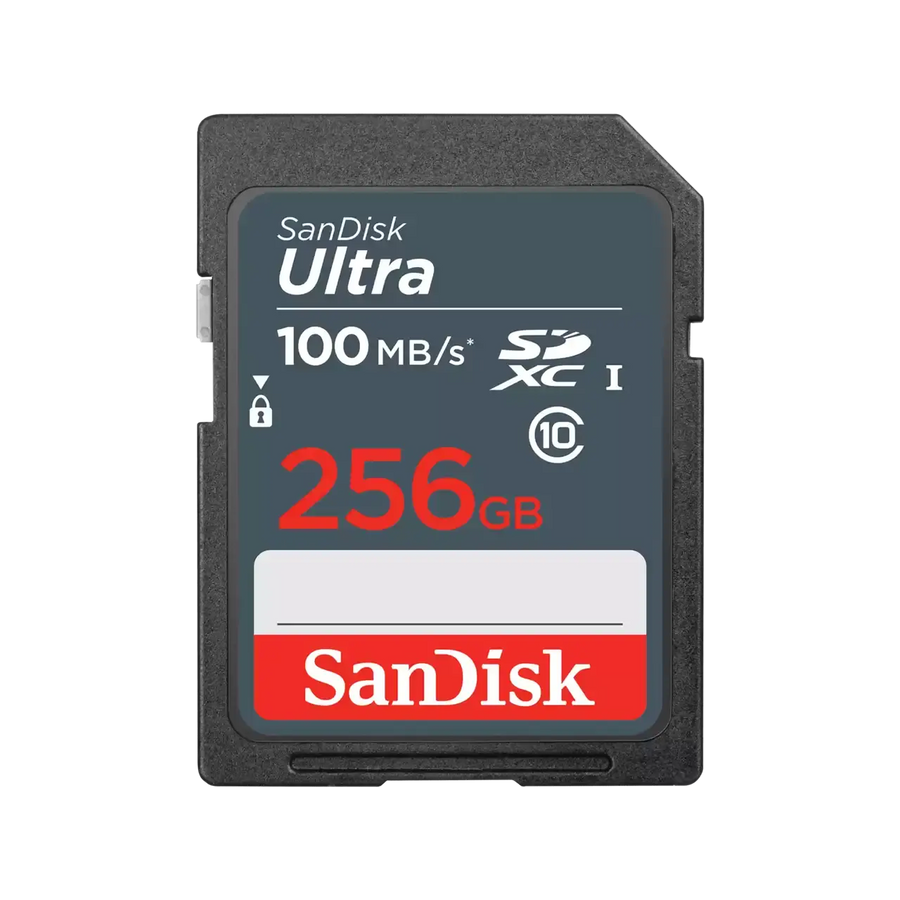 SanDisk SD CL10: 256GB